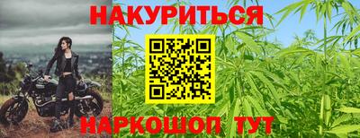гидра Краснокаменск