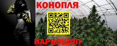 гидра Краснокаменск