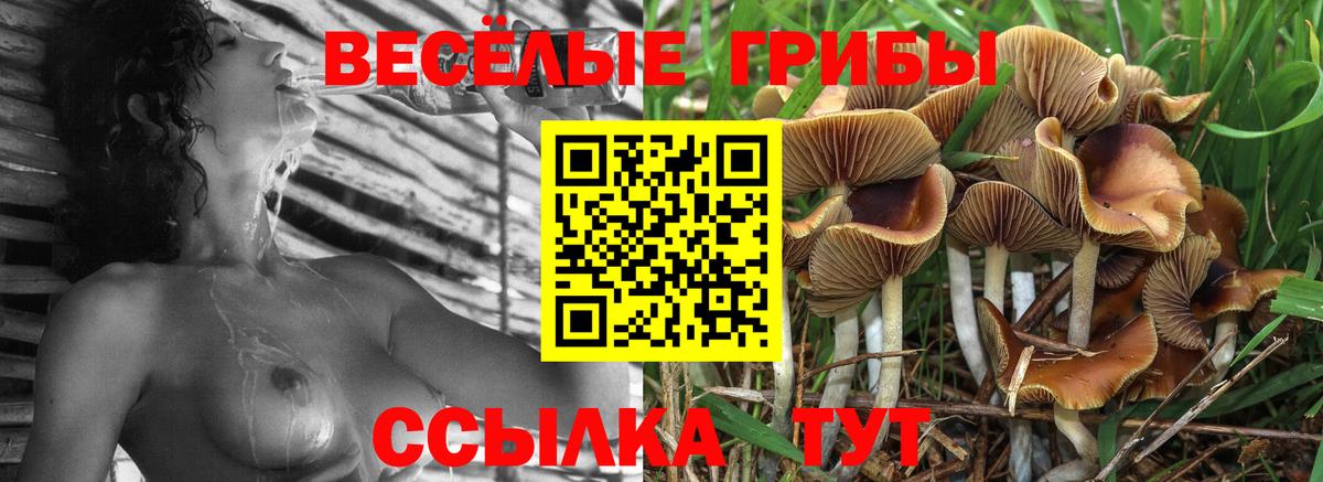 Псилоцибиновые грибы Magic Shrooms  Вход с VPN  Киров 