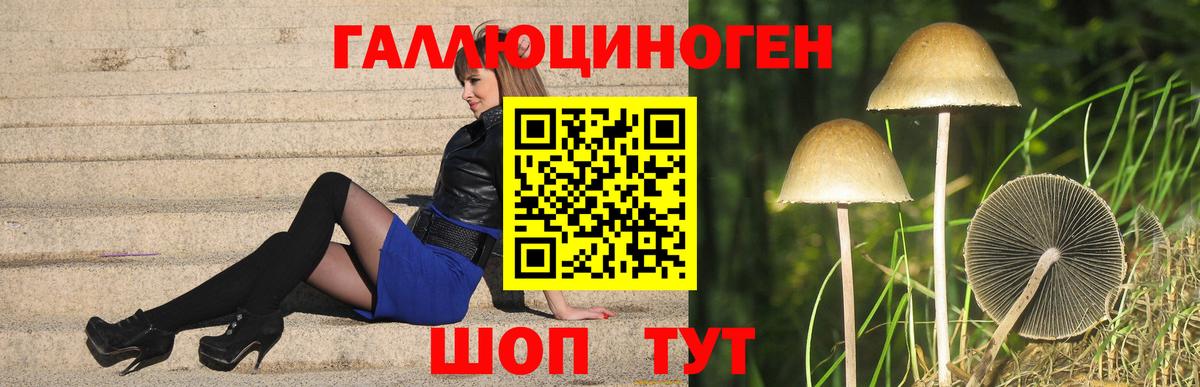 Галлюциногенные грибы Psilocybine cubensis Киров